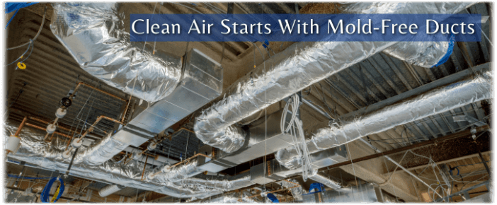 Air Duct Mold Removal in Mesa