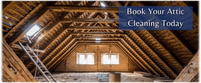 Attic Cleaning Mesa