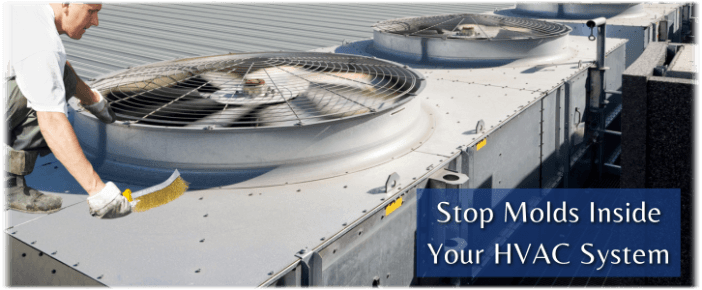 HVAC Mold Removal Mesa